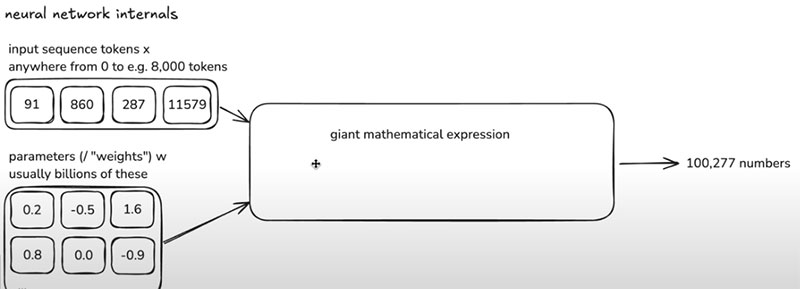 AI Parameters / Weights